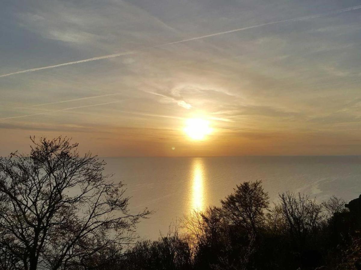 Babbacombe Palms Hotel Torquay Bagian luar foto